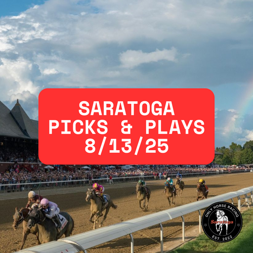 Picks & Plays - Saratoga  8/13/25