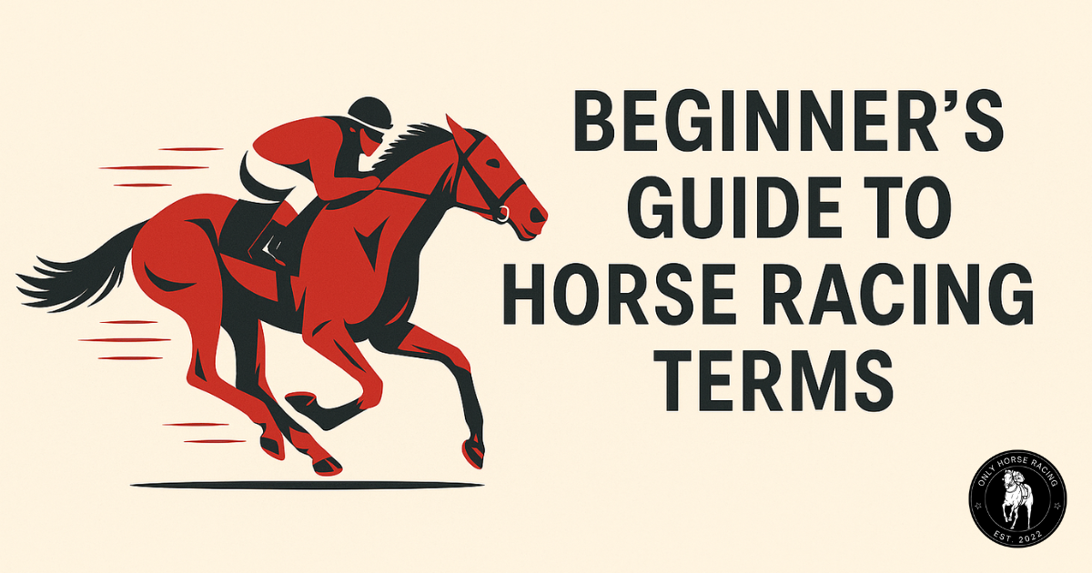 The Ultimate Beginner’s Guide to Horse Racing Terms